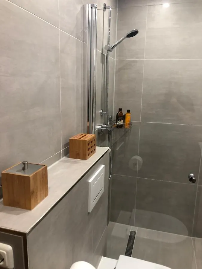 Design Loft Studio Schwabing Apartment Munich